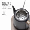 鸣盏手冲壶英国strix温控器家用咖啡手冲泡茶长嘴多段控温电水壶不锈钢防干烧自动断电茶壶 MZ152 商品缩略图2