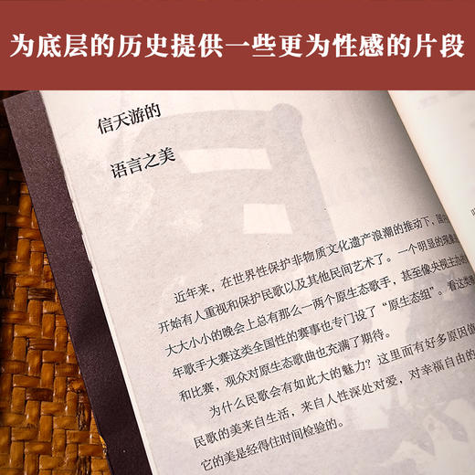 《歌声响处是吾乡》 商品图6