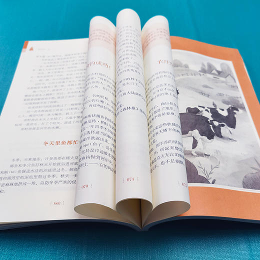 森林报·春 商品图3