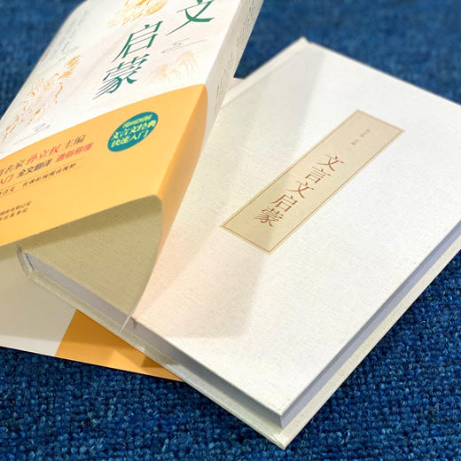 B全新正版文言文启蒙漫画图解文言文经典快速入门漫画图解轻松入门全文翻译通俗易懂小学1-6年级通用版经典文章历史故事等 商品图2