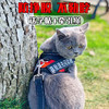 【猫咪牵引绳】防挣脱专用溜猫绳遛猫绳背心式背带项圈栓小猫绳子猫链 商品缩略图0