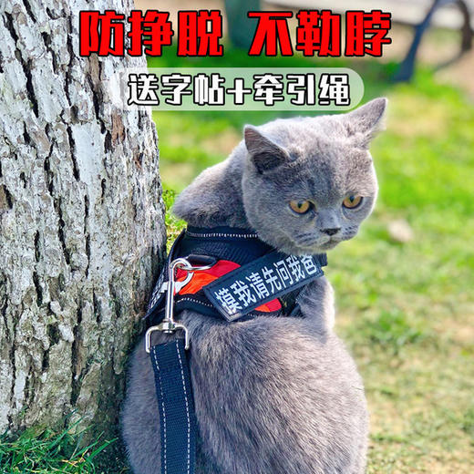 【猫咪牵引绳】防挣脱专用溜猫绳遛猫绳背心式背带项圈栓小猫绳子猫链 商品图0