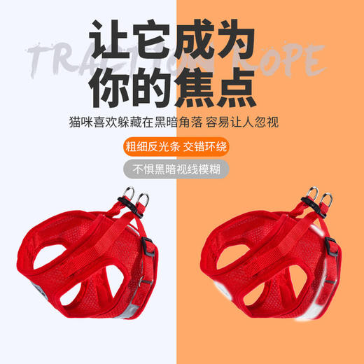 【宠物猫咪牵引绳】背心式胸背带外出猫咪专用防挣脱溜猫绳网格胸背 商品图2