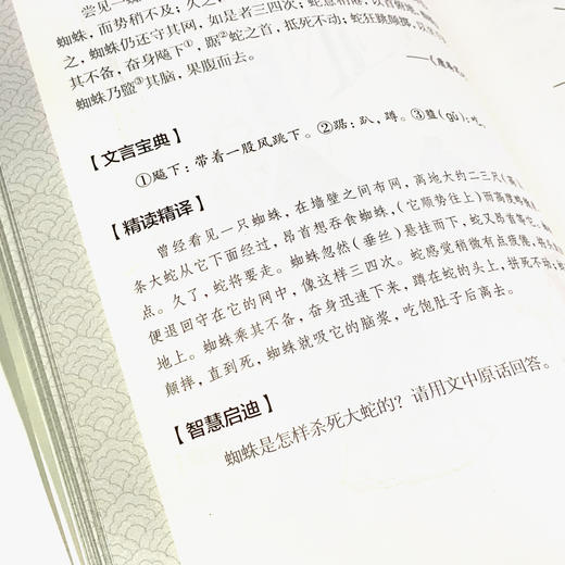 B全新正版文言文启蒙漫画图解文言文经典快速入门漫画图解轻松入门全文翻译通俗易懂小学1-6年级通用版经典文章历史故事等 商品图3