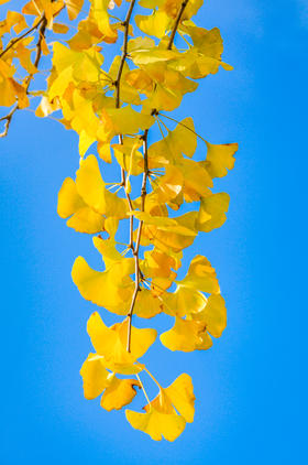 秋季护肤，内外同补，送您一张优惠券，滋润好物超值购！