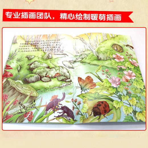B01《童眼识天下百科大揭秘》全8册 | 6-12岁 商品图3