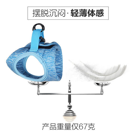 【猫咪牵引绳】cat harness 猫咪牵引绳栓猫溜猫绳猫胸背带猫牵引绳 商品图1