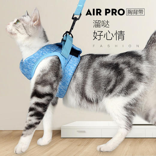 【猫咪牵引绳】cat harness 猫咪牵引绳栓猫溜猫绳猫胸背带猫牵引绳 商品图0