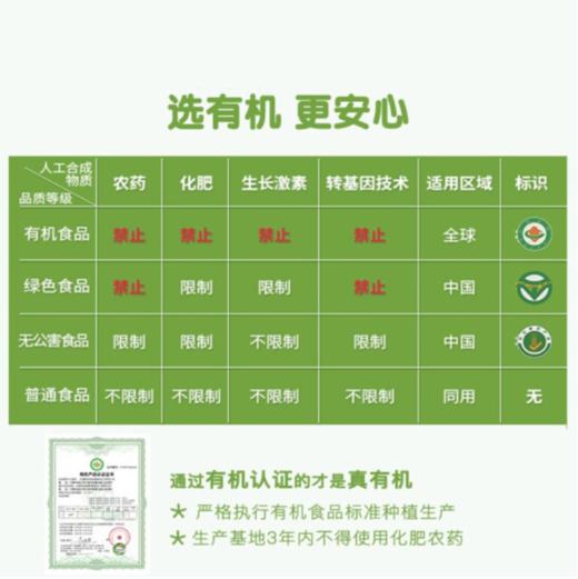 M| 五为科尔沁沙地有机高粱米650g 内蒙古有机杂粮 商品图4