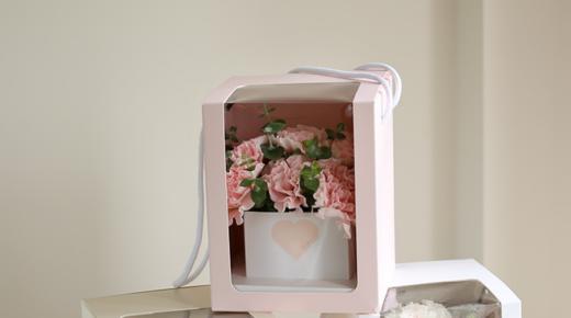 生如夏花---11支康乃馨花束礼盒5选1 商品图4