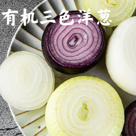 新疆有机三色洋葱  清脆爽口 有机营养 不打药 2.5kg（12-15枚左右）