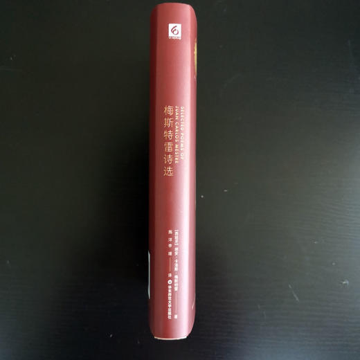 梅斯特雷诗选 梅斯特雷拥有加西亚·洛尔迦以降 西班牙诗界有力的抒情想象 施洋 李瑾译 商品图2