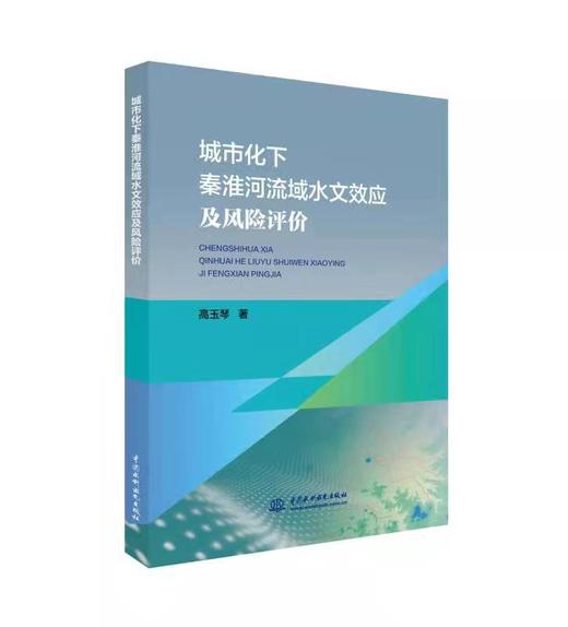 城市化下秦淮河流域水文效应及风险评价 商品图0