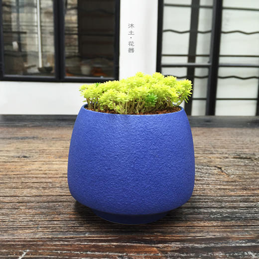 原创轻奢多肉系列陶瓷花器【下单赠价值29.9元炫彩杯】 商品图6