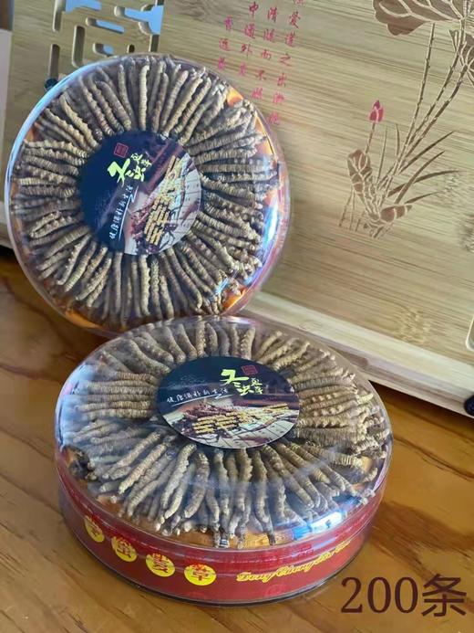 冬虫夏草（青海玉树产） 商品图0