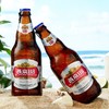 【29.9元/箱】燕京瓶装U8特酿啤酒8度500ml*6（050163502） 商品缩略图0