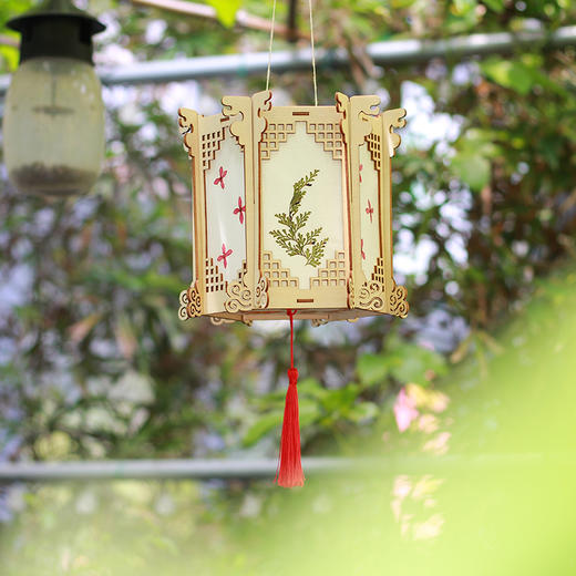 花好月圆灯笼（送灯串） 商品图0