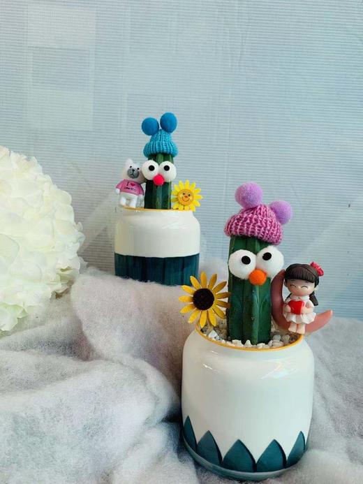 仙人柱小可爱 商品图2