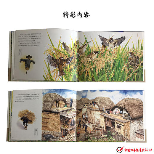 盘中餐 精装硬壳绘本阅读幼儿园硬皮儿童故事书三四五年级小学生课外书籍老师推荐亲子大中小班3—6-8-12岁三岁幼儿早教益智畅销书 商品图3