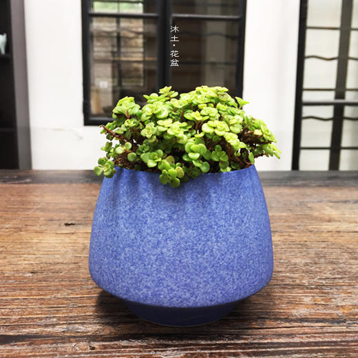 原创轻奢多肉系列陶瓷花器【下单赠价值29.9元炫彩杯】 商品图5