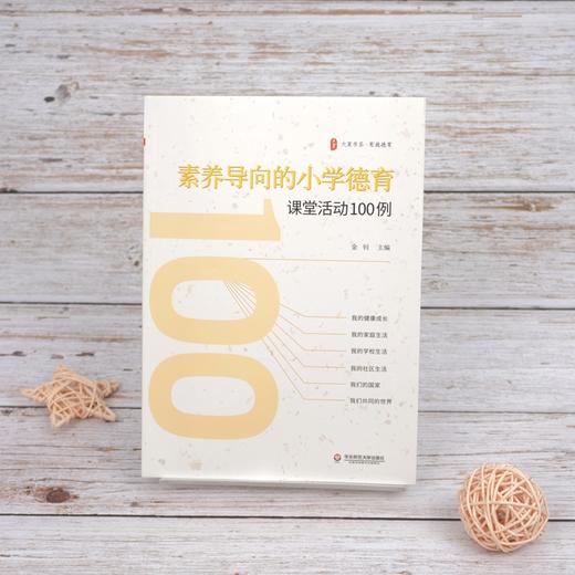 素养导向的小学德育课堂活动100例 大夏书系 德育教学研究小学 商品图1