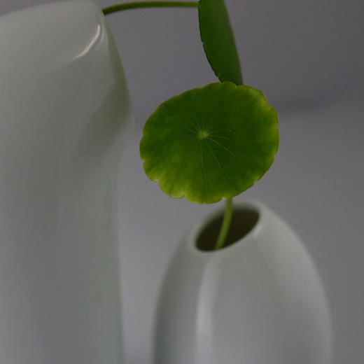 原创轻奢“有你真好”系列陶瓷花器【下单赠价值29.9元炫彩杯】 商品图1