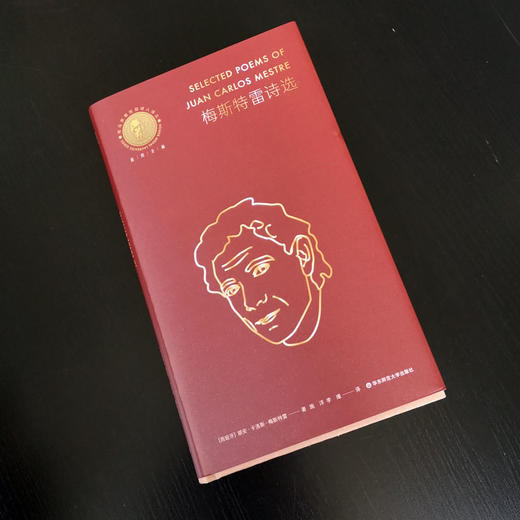 梅斯特雷诗选 梅斯特雷拥有加西亚·洛尔迦以降 西班牙诗界有力的抒情想象 施洋 李瑾译 商品图1