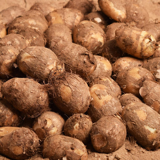 山东特产 奶香芋头 毛芋头 芋艿 约5斤 新鲜蔬菜 商品图7