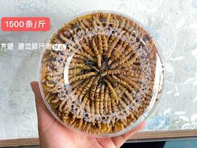 那曲冬虫夏草 干货冬虫草送礼佳品50克