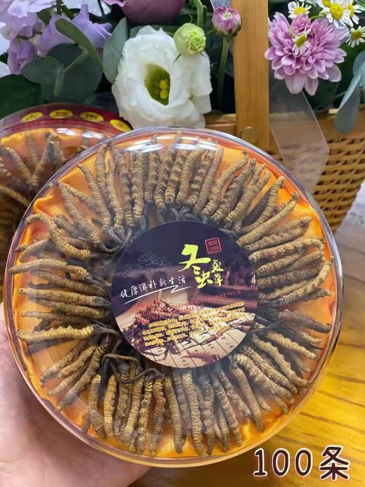 冬虫夏草（青海玉树产） 商品图1