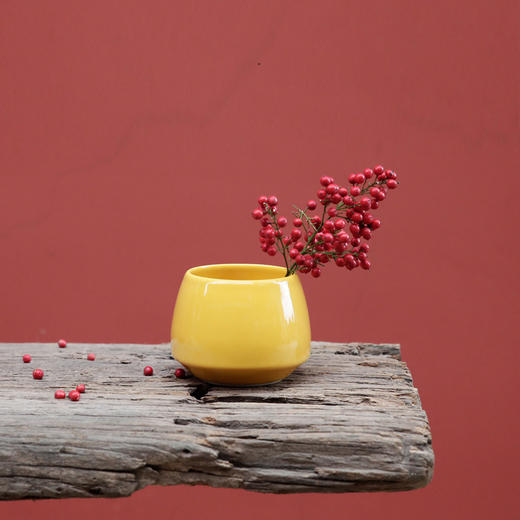 原创轻奢多肉系列陶瓷花器【下单赠价值29.9元炫彩杯】 商品图2