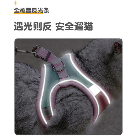 【宠物牵引绳】宠物狗猫牵引绳遛狗套装宠物麂皮猫咪胸背带发夜光牵引带 商品图2