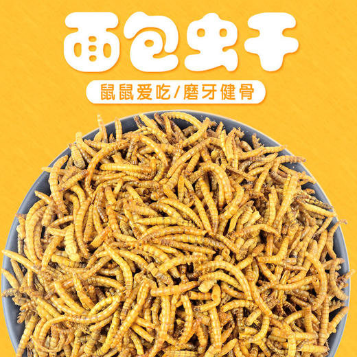 【鱼粮】面包虫干宠物零食黄粉虫干仓鼠零食宠物饲料鱼粮龟粮 商品图0