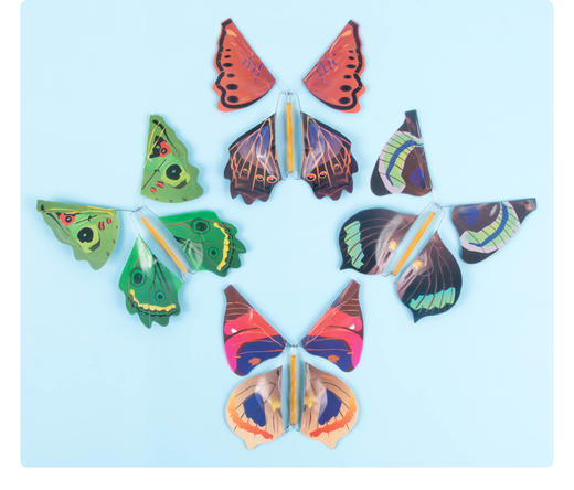 【5个装】装扮蝴蝶仿真神奇会飞的蝴蝶玩具减压新奇创意化蛹成蝶魔术道具 商品图2