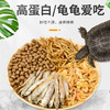 【龟粮】乌龟饲料中华草龟巴西龟龟食通用高端龟粮高营养 商品缩略图2