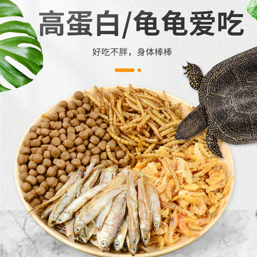 【龟粮】乌龟饲料中华草龟巴西龟龟食通用高端龟粮高营养 商品图2