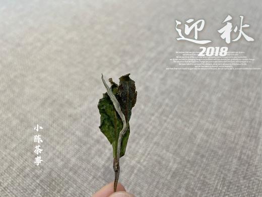 6年陈散白茶2018迎秋，竹香清新，药香沉郁（60克） 商品图6