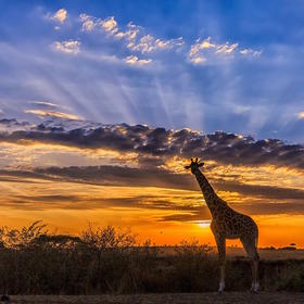 有一种高情商，叫不随意评价别人