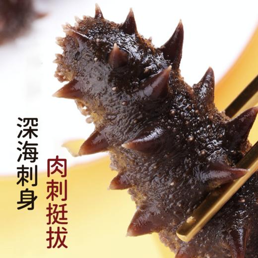 即食海参礼盒 商品图1