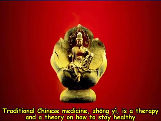 29 Traditional Chinese medicine TCM 商品图0