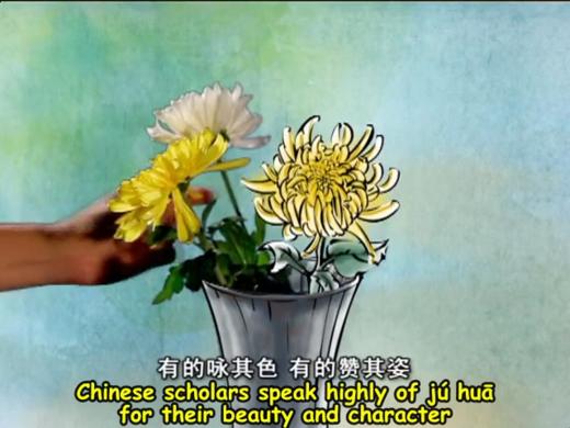 43 Chrysanthemums in Chinese culture 商品图0