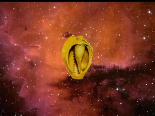 80 Money  Chinese history 商品图0