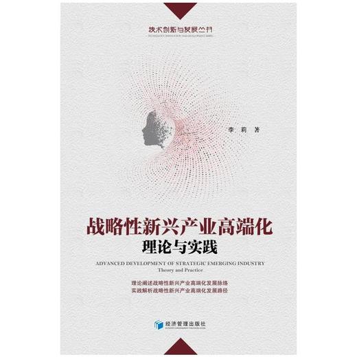 战略性新兴产业高端化:理论与实践:theory and practice 商品图0