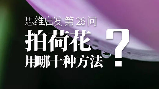 26 十种方法拍荷花？ 商品图0