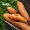 【下单后48小时左右发货】云南 高原 甜糯红薯6斤装左右 商品缩略图7