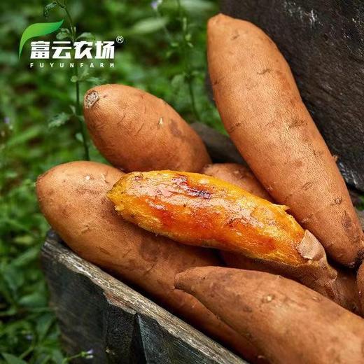 【下单后48小时左右发货】云南 高原 甜糯红薯6斤装左右 商品图7