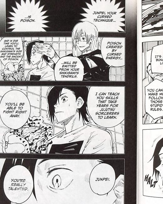 【中商原版】漫画 咒术回战4 Jujutsu Kaisen 英文原版 芥见下々 VIZ Media出版 商品图4