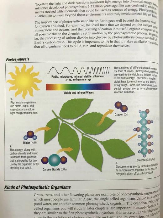 天体生物学 数百幅插图 精装16开 商品图11