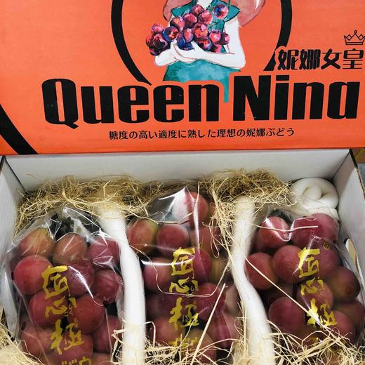 🌿🙋🏻‍♂️妮娜皇后（超级女皇Queen）据说在日本是比香印青提表现更优秀的品种‼️ 无核，颗粒大，糖度超高有花香➕草莓香➕牛奶香➕红酒香等复合型香味……回味无穷 商品图6