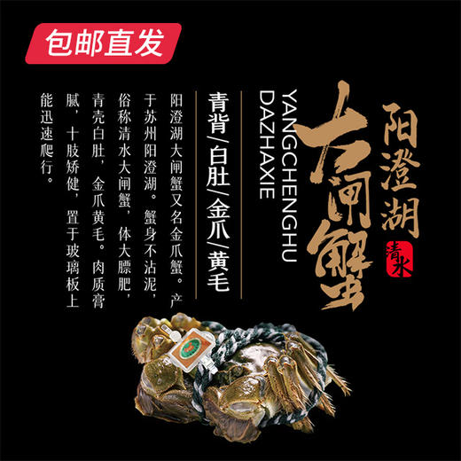  蟹老宋阳澄韵礼 商品图3